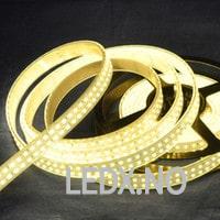 LED 19.2 watt strip 12-24V (LED-LL-1224-19.2(5)(LEDOM)