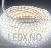 LED strips 8.8 watt / 50m(LEDOM)